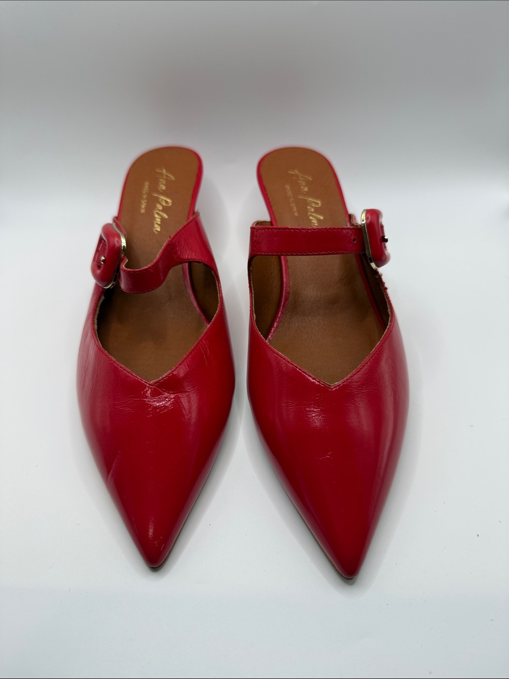 Pointed Red Leather Buckle Mules Ana Paloma